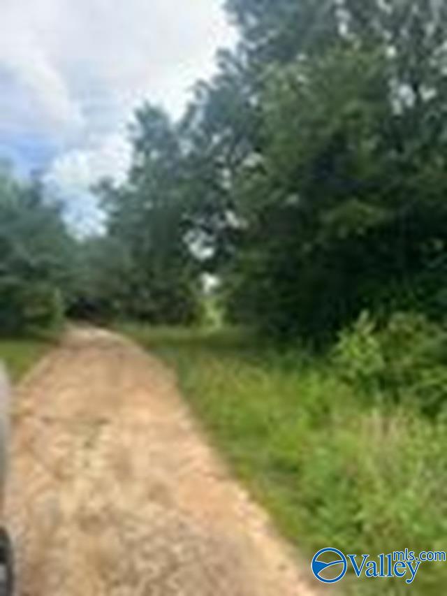 .75 AC County Road 57, Fort Payne, Alabama image 1