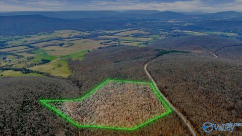 Vacant Land For Sale - 855 Lewis Mountain Road<br/> New Market, AL 35761