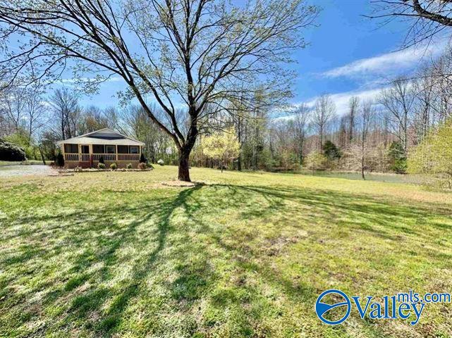 10358 County Road 92, Rogersville, Alabama image 6