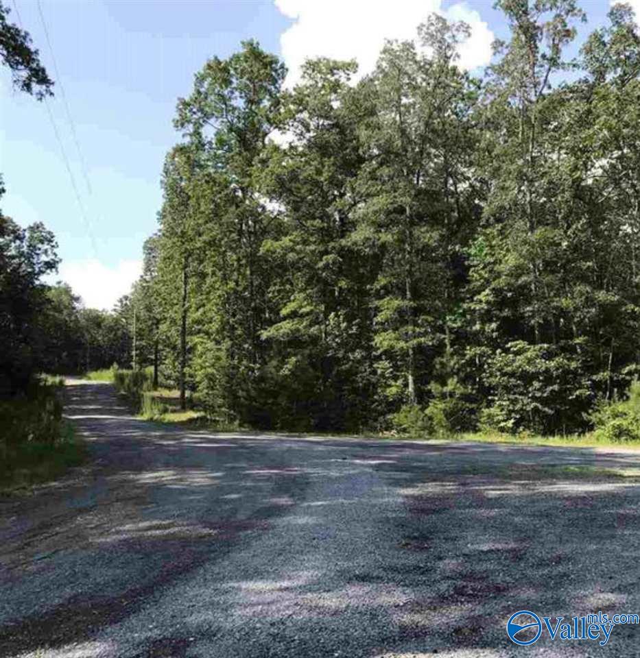 11 Road 903, Mentone, Alabama image 1