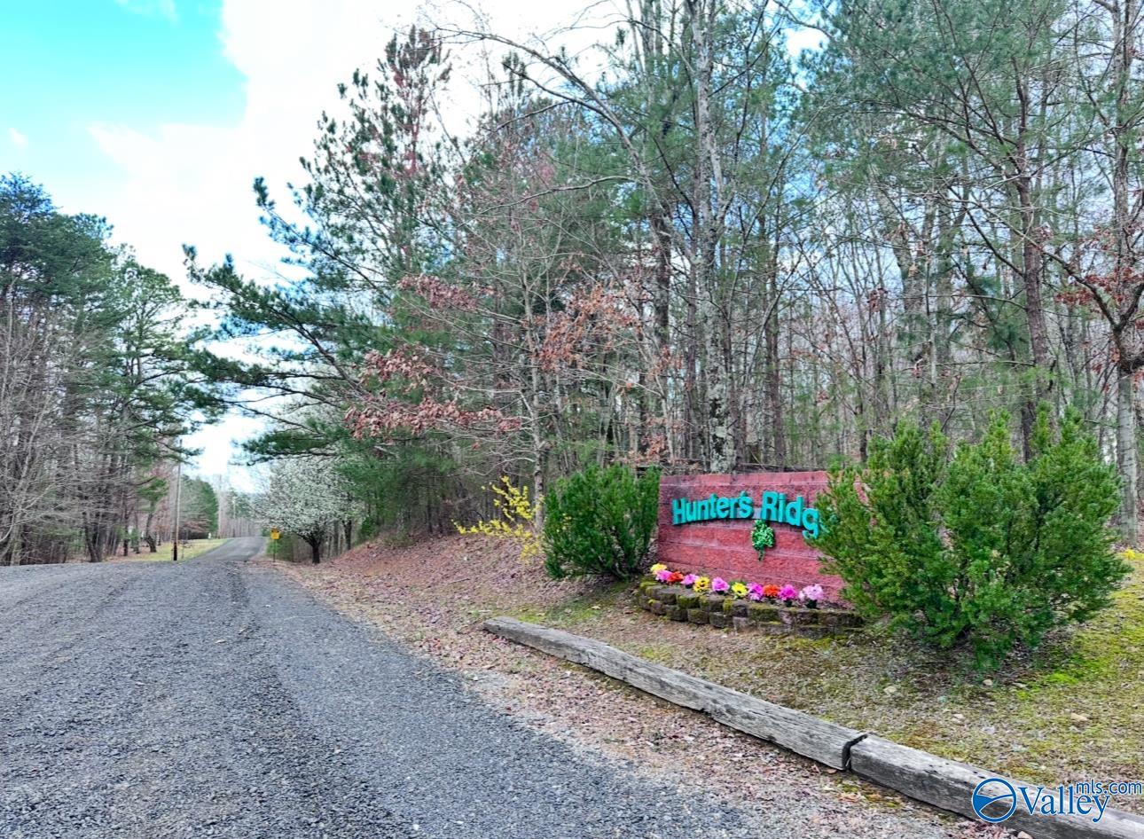 11 Road 903, Mentone, Alabama image 1