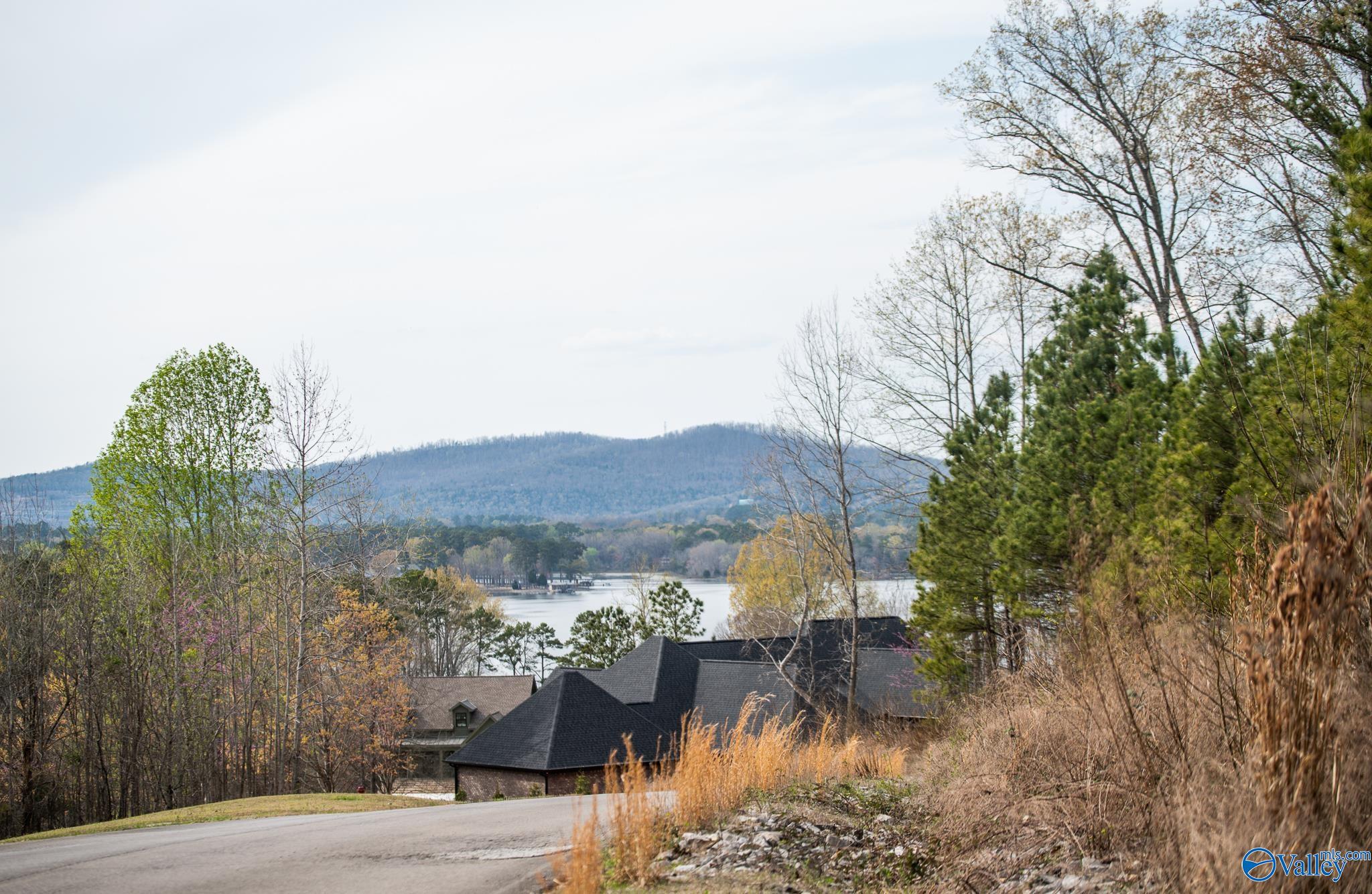 LOT 107 Lookout Mountain Drive, Scottsboro, Alabama image 8