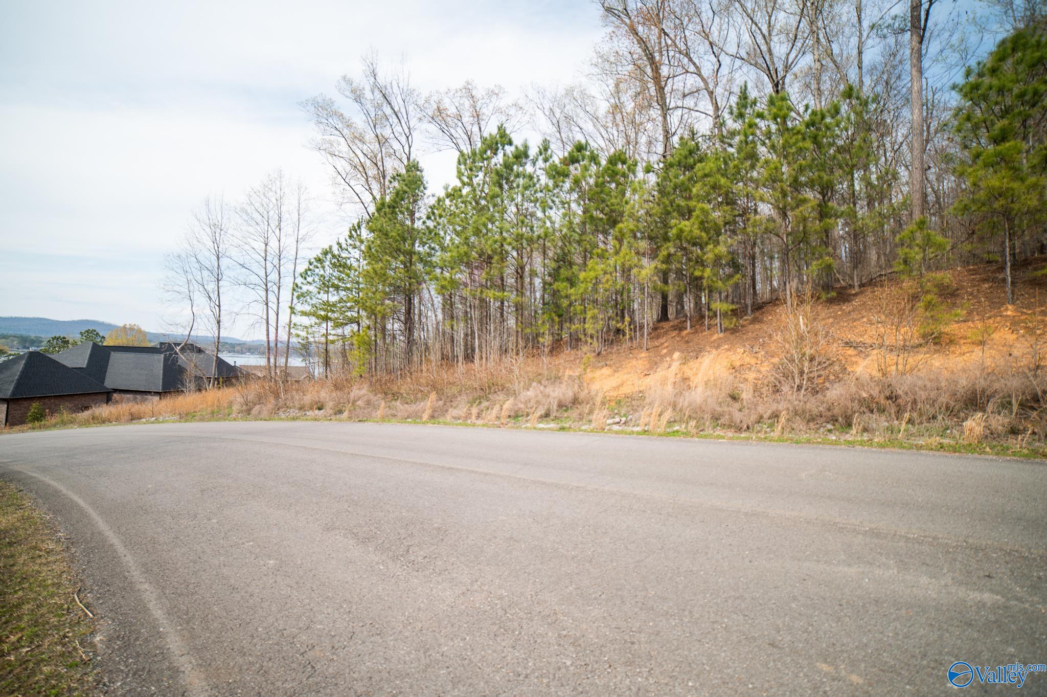 LOT 107 Lookout Mountain Drive, Scottsboro, Alabama image 5