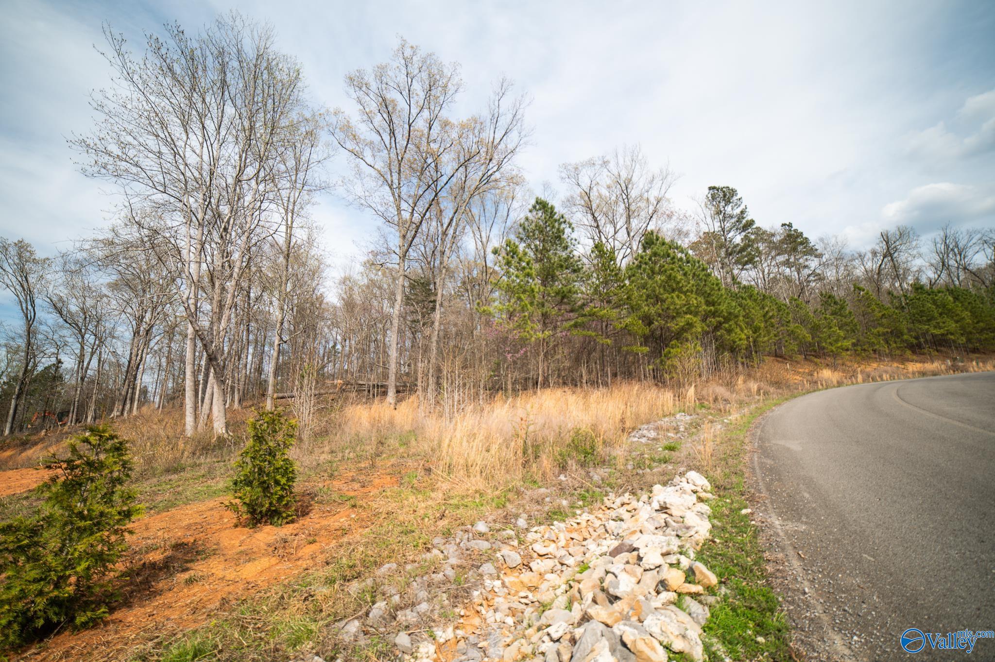 LOT 107 Lookout Mountain Drive, Scottsboro, Alabama image 6