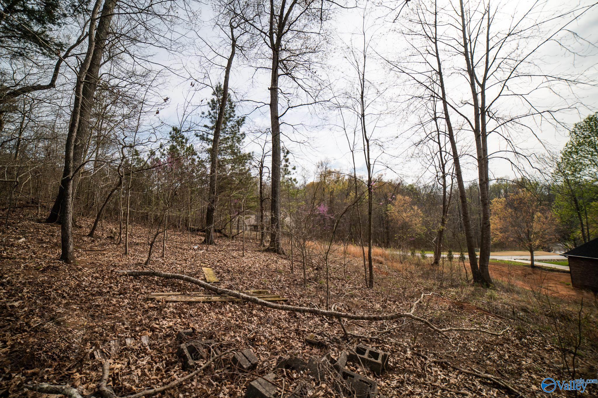 LOT 107 Lookout Mountain Drive, Scottsboro, Alabama image 9