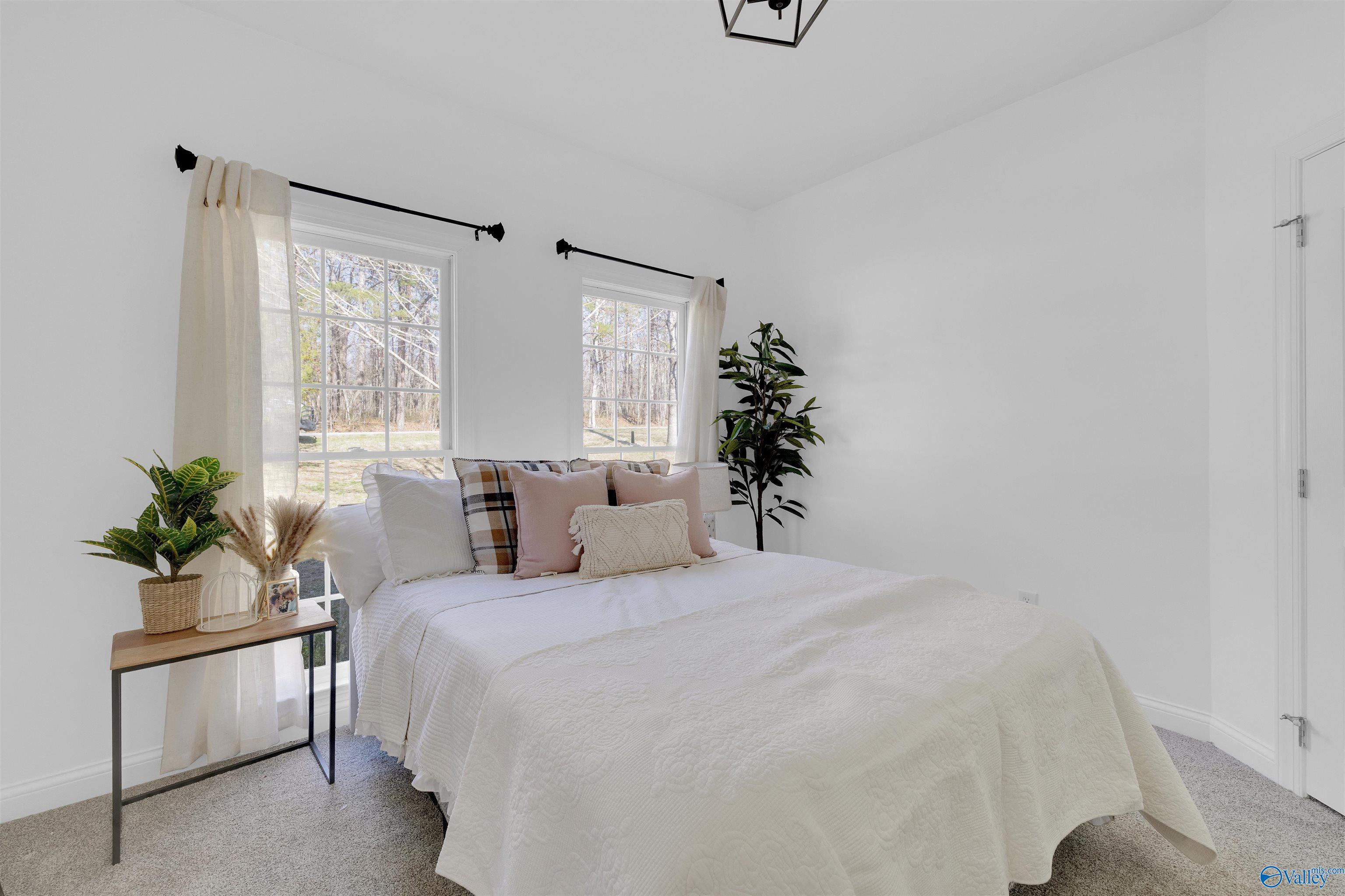 4319 County Road 106, Mentone, Alabama image 25