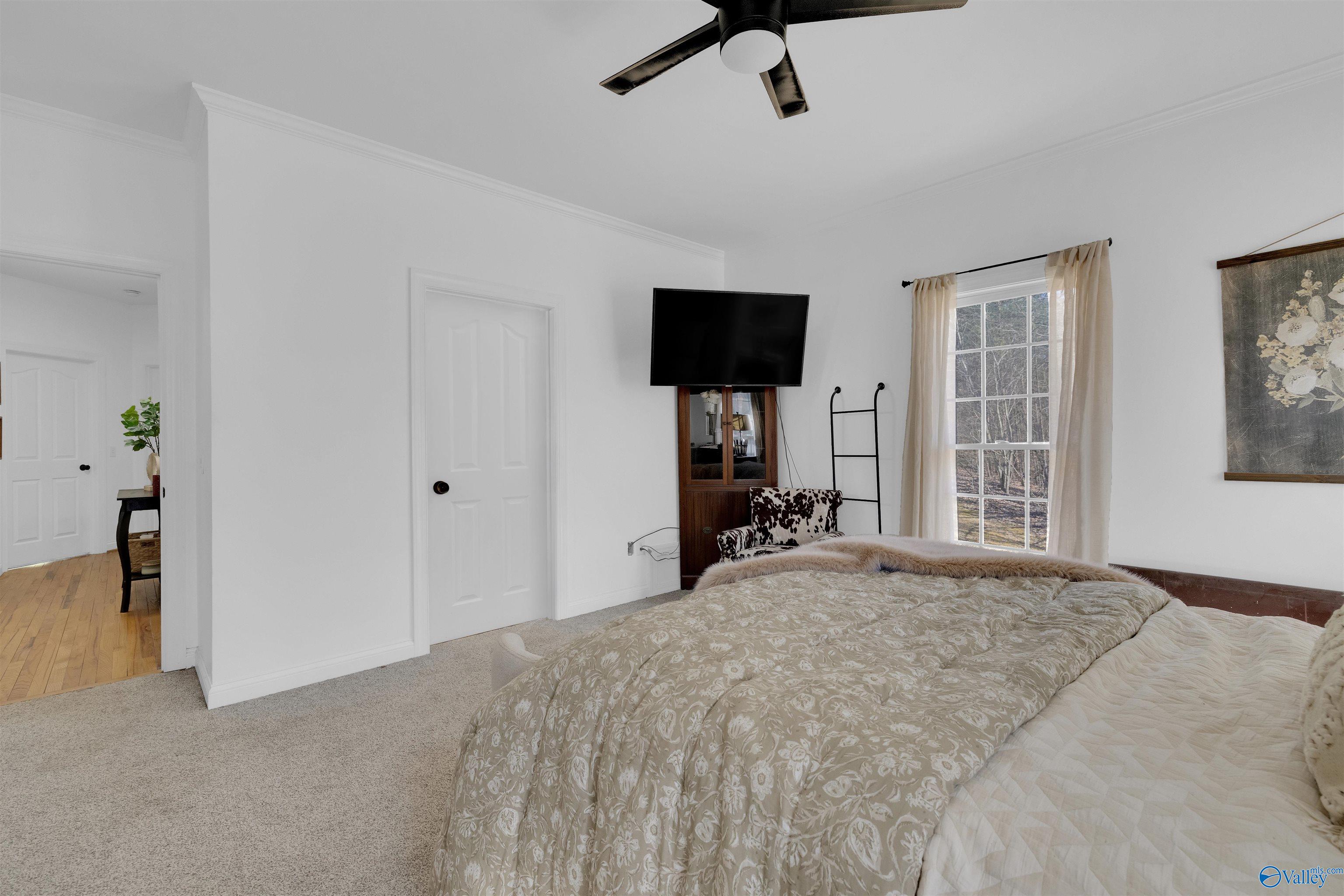 4319 County Road 106, Mentone, Alabama image 18