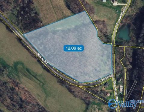 Vacant Land For Sale - 12 ACRES Bunker Hill Road<br/> Pulaski, TN 38478