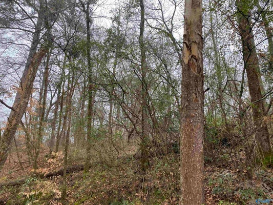 ADDRESS PRIVATE, HARTSELLE, AL 35640 - Image 307b7512b12dfb5c2c9a8bba4e042018/3663679945