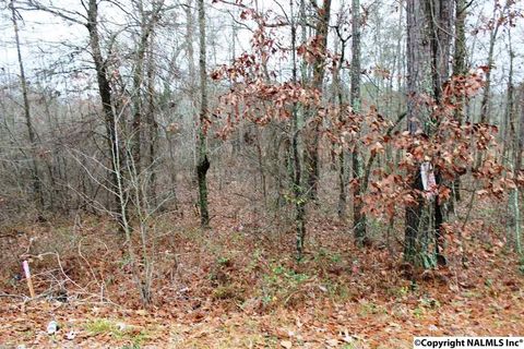 Vacant Land For Sale - LOT 5 Quail Drive<br/> Cherokee County, Centre, AL 35960