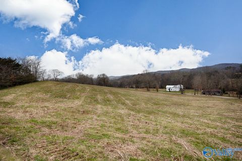 Vacant Land For Sale - 21.69 A Briar Patch Road<br/> Giles County County, Prospect, TN 38477