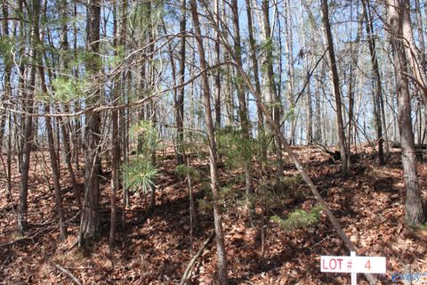 Vacant Land For Sale - LOT 4 Hickory Lane<br/> Fort Payne, AL 35989