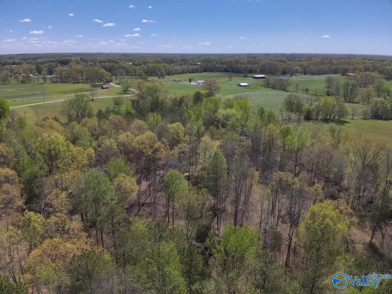 1485 County Road 485