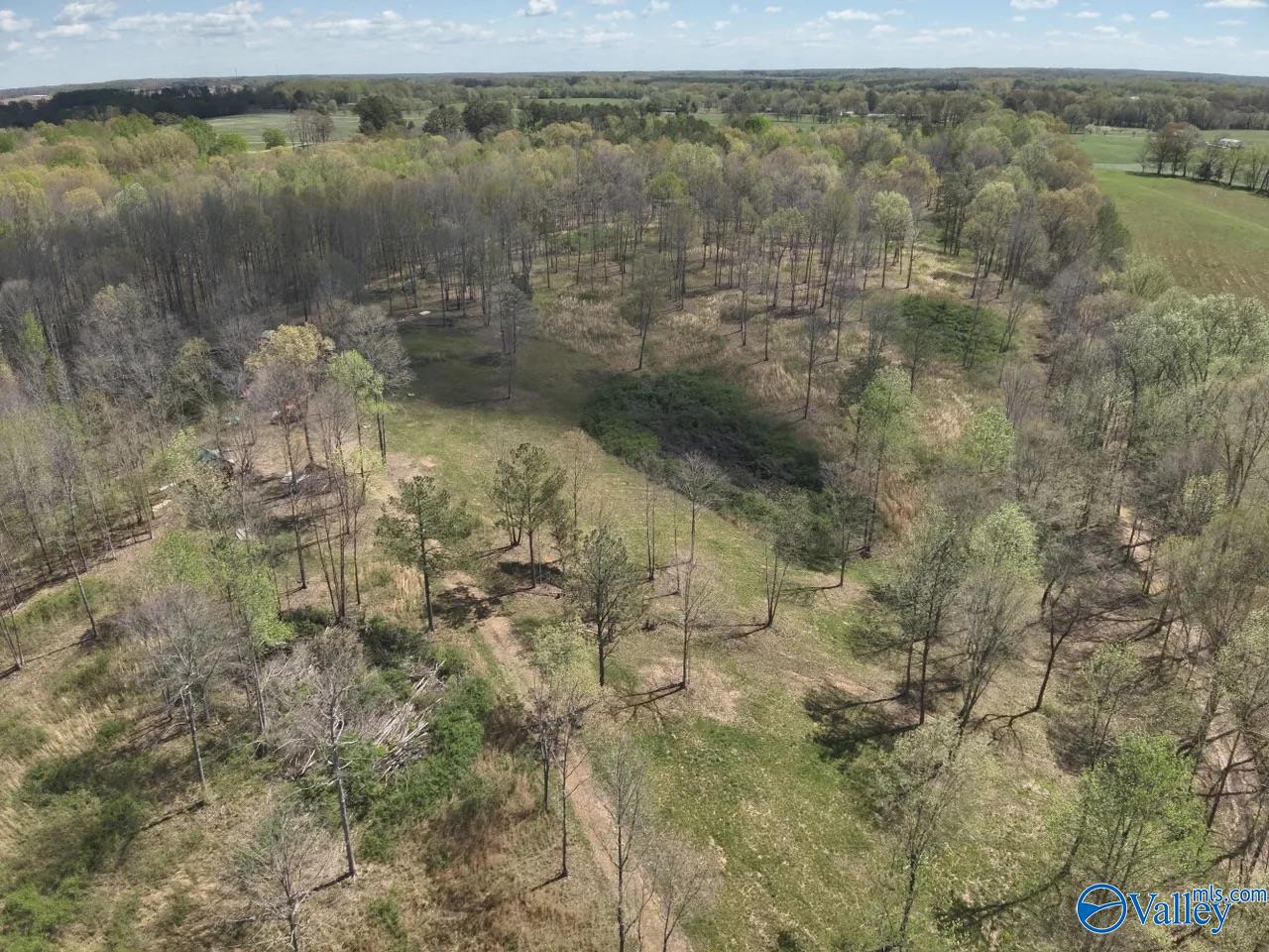 1485 County Road 485