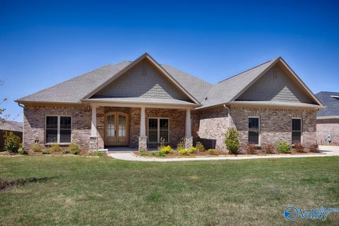Homes For Sale - 8061 Goose Ridge Drive<br/> Owens Cross Roads, AL 35763