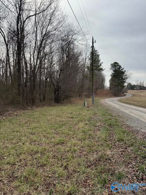 Vacant Land For Sale - 14 Hopper Road<br/> Altoona, AL 35952