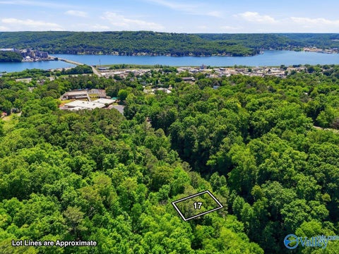 Vacant Land For Sale - LOT 17 Lusk Street<br/> Guntersville, AL 35976