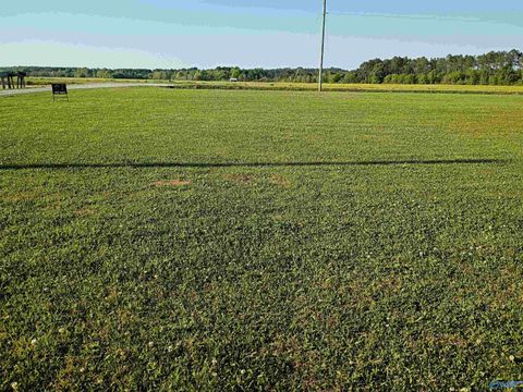 Vacant Land For Sale - 925 County Road 1042 #LOT 43<br/> Centre, AL 35960
