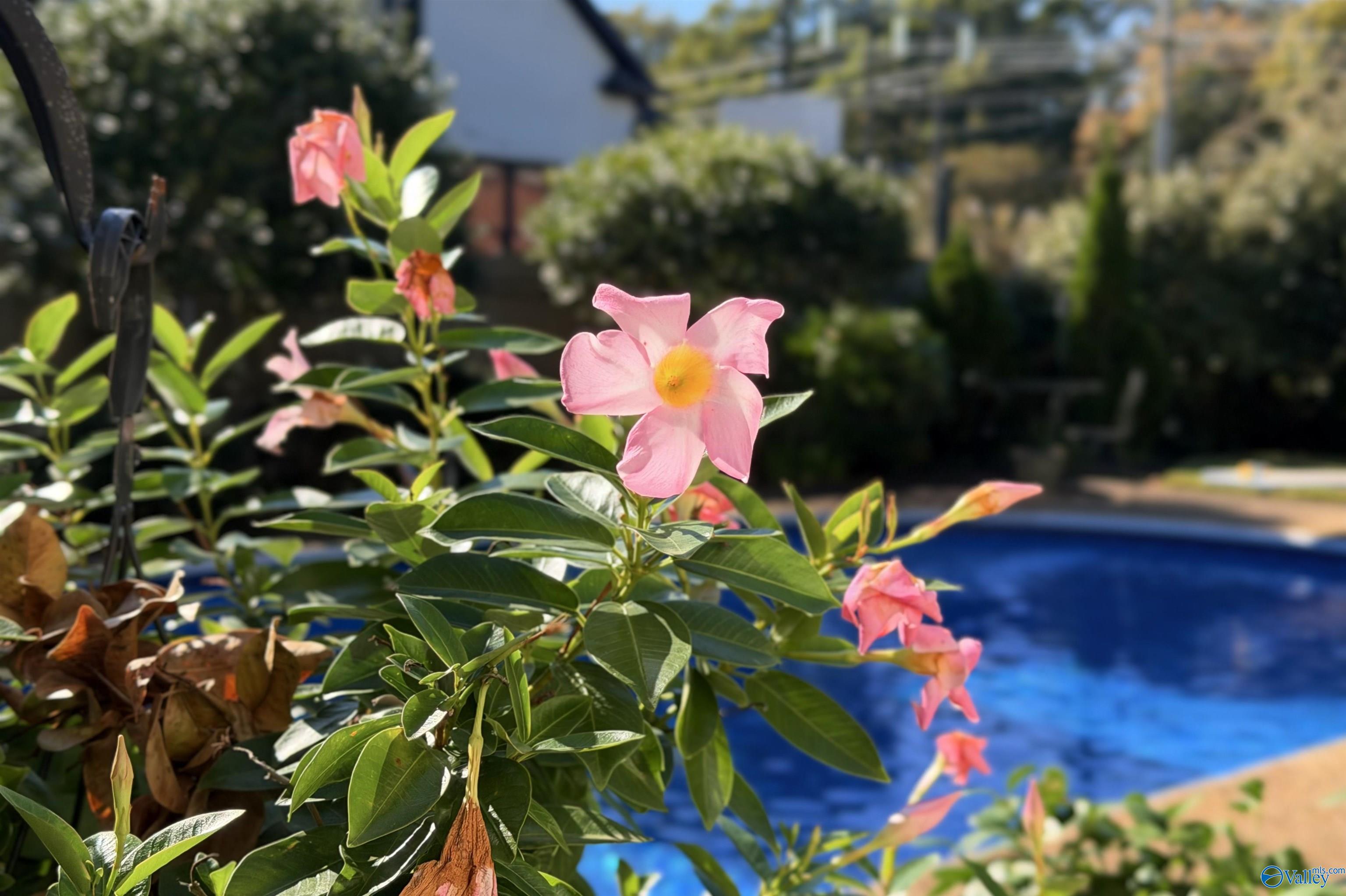 2203 Century Court SE