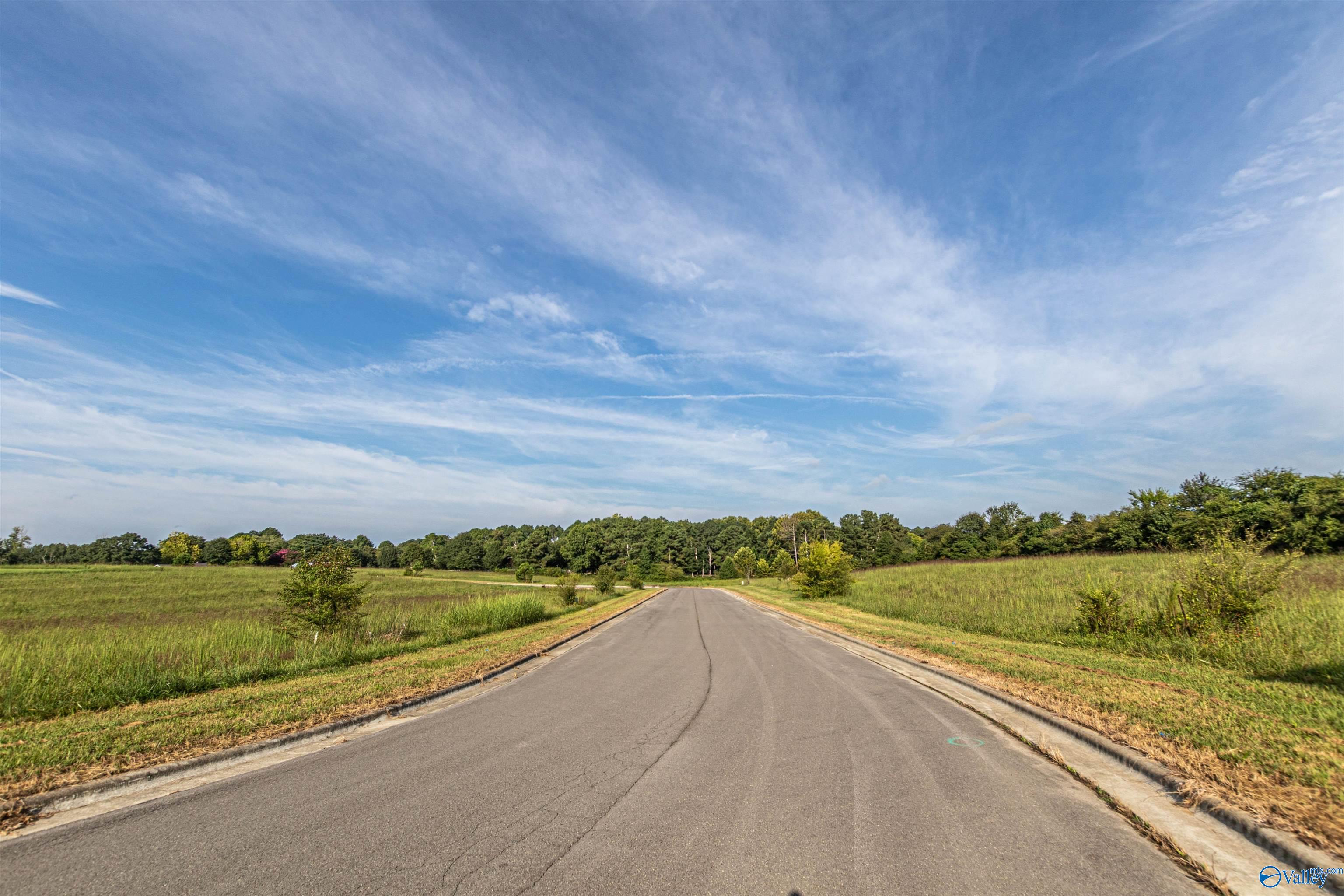 Lot 17 Krimson Circle, Albertville, Alabama image 7