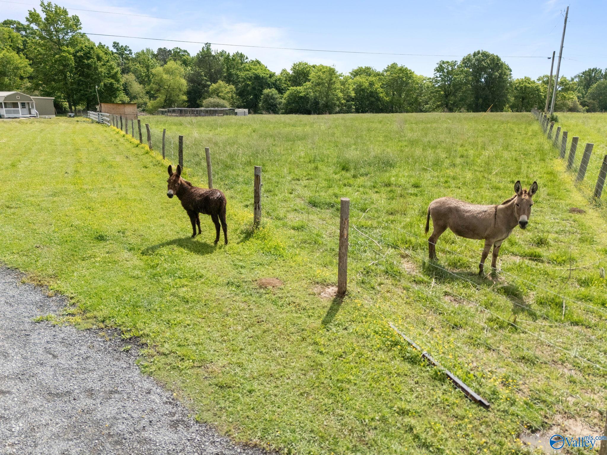 7320 County Road 1435, Vinemont, Alabama image 6