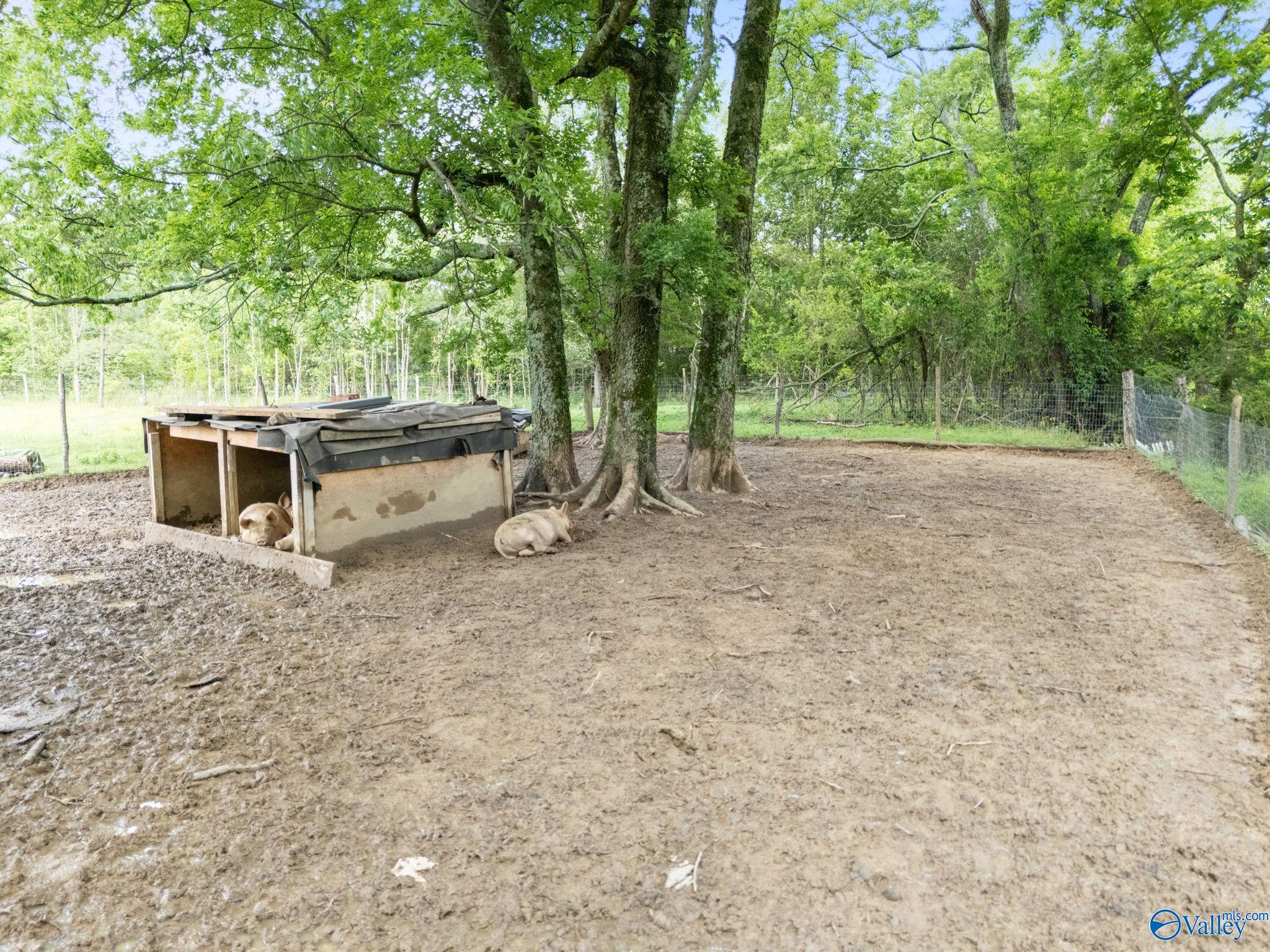 7320 County Road 1435, Vinemont, Alabama image 21