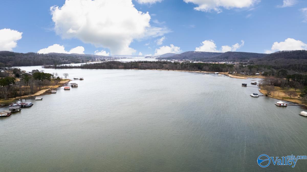 120 Lake Creek Drive, Guntersville, Alabama image 48