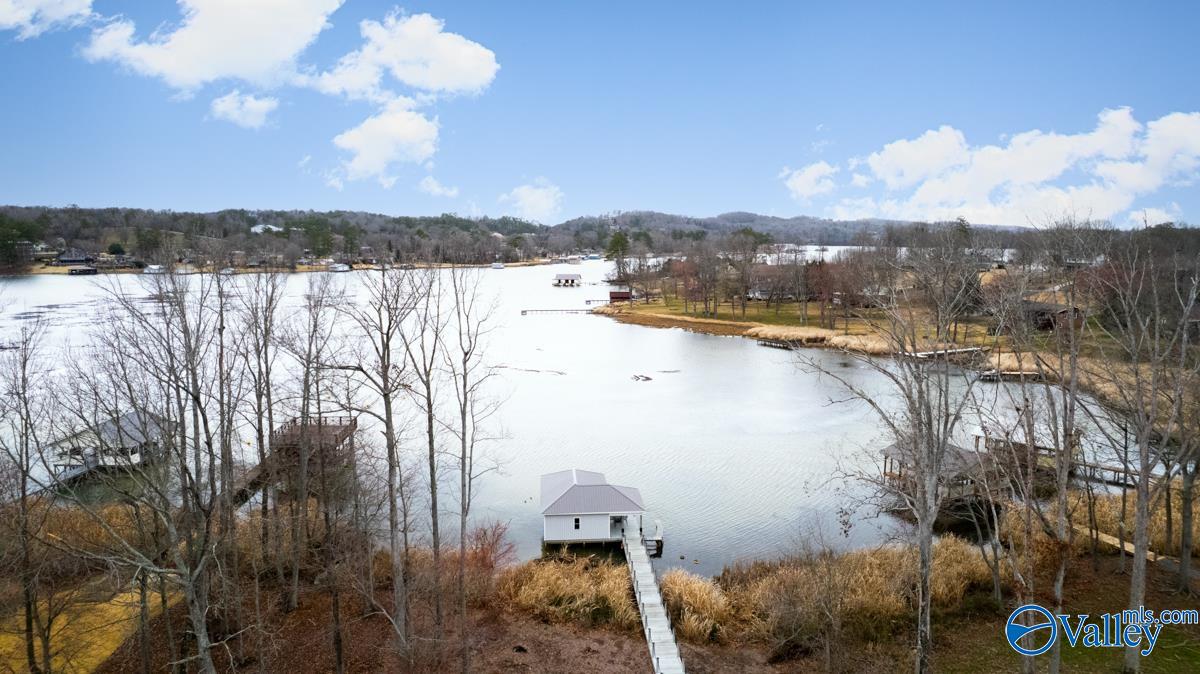120 Lake Creek Drive, Guntersville, Alabama image 47