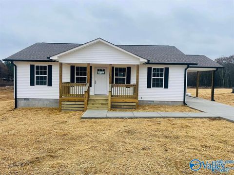 243 Blessing Road Albertville AL 35951