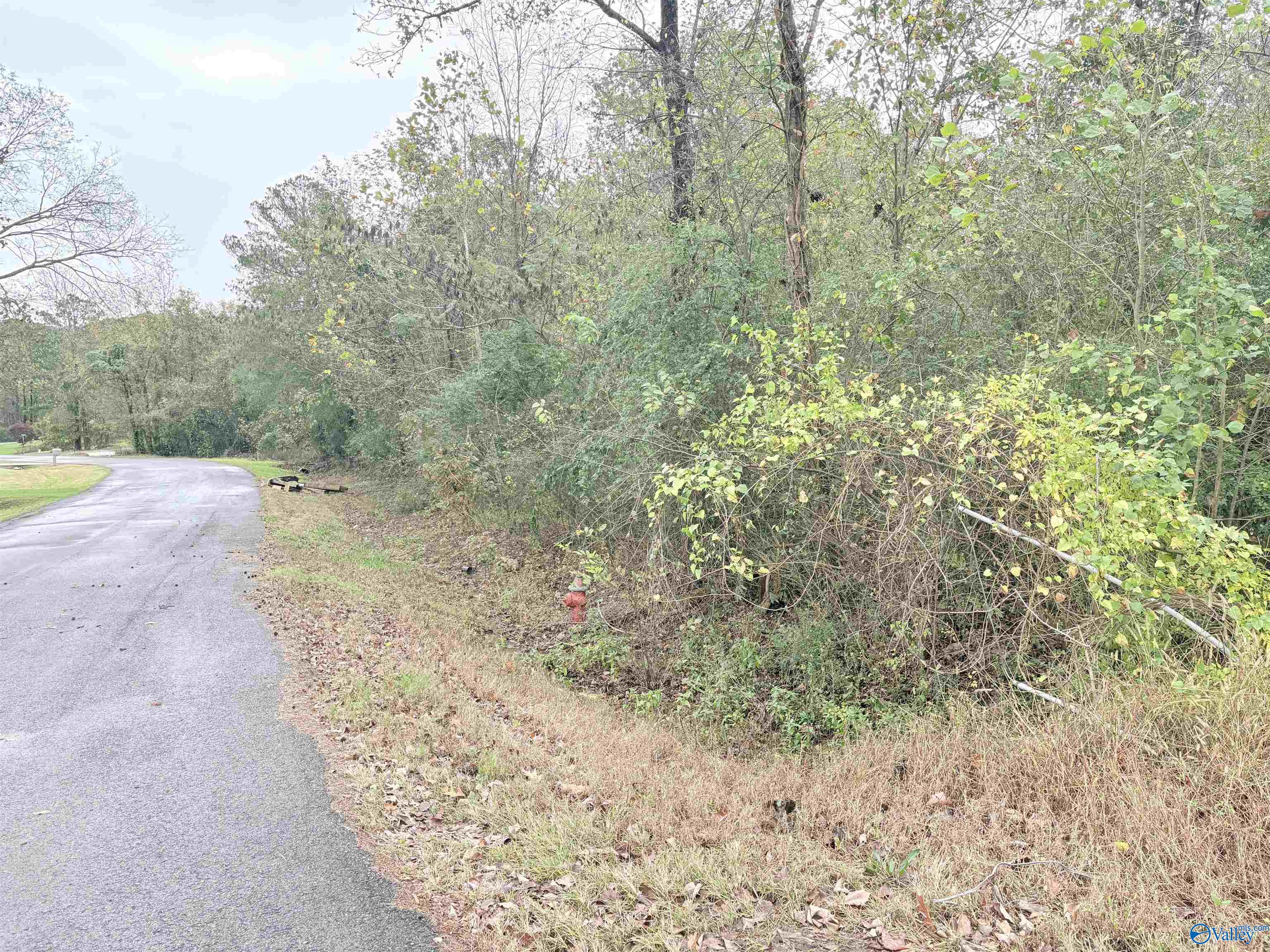 Lot 1 Hunter Road, Scottsboro, Alabama image 2