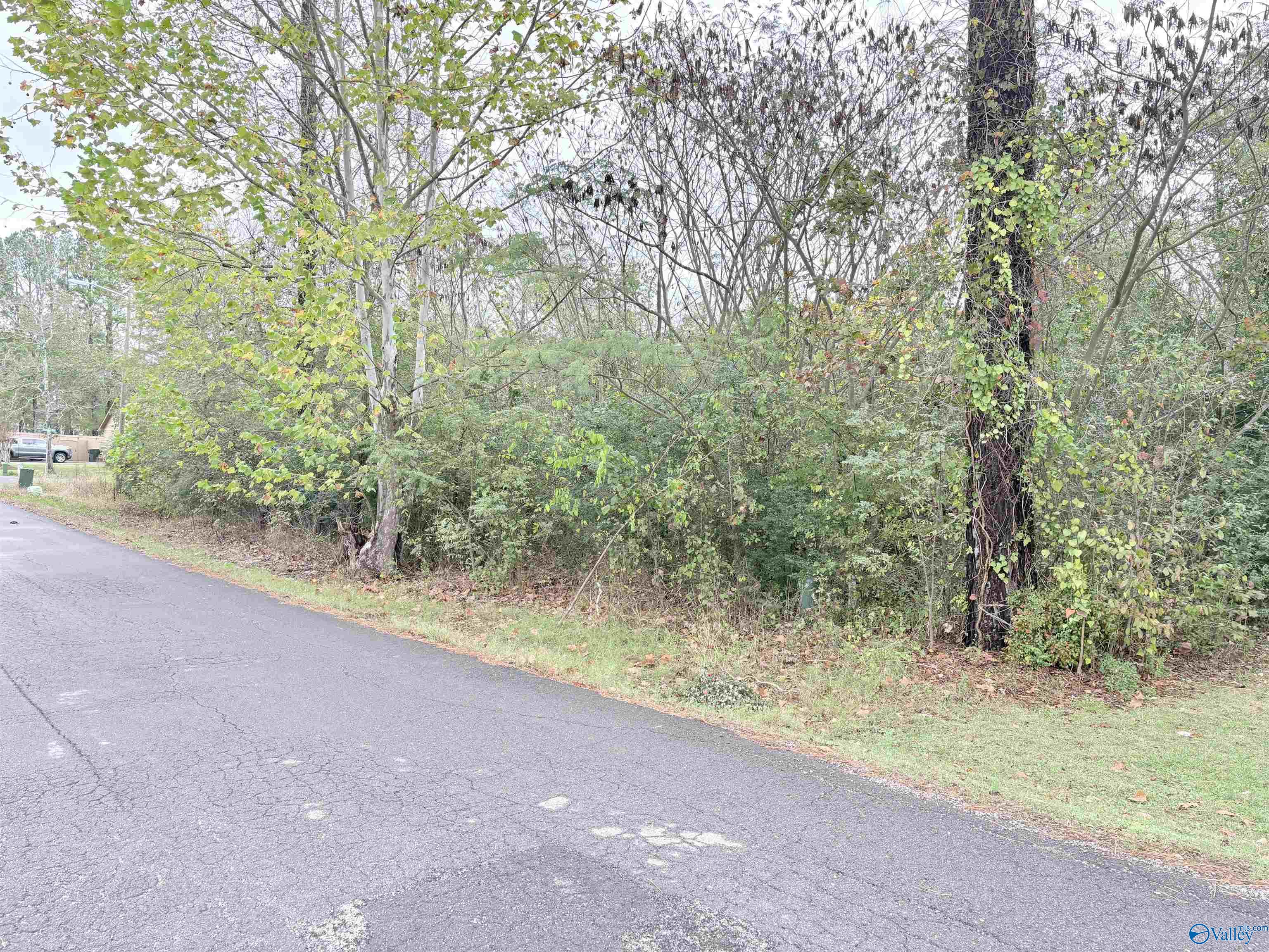 Lot 1 Hunter Road, Scottsboro, Alabama image 4