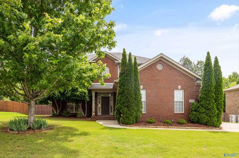 127 Morning Vista Drive Madison AL 35758