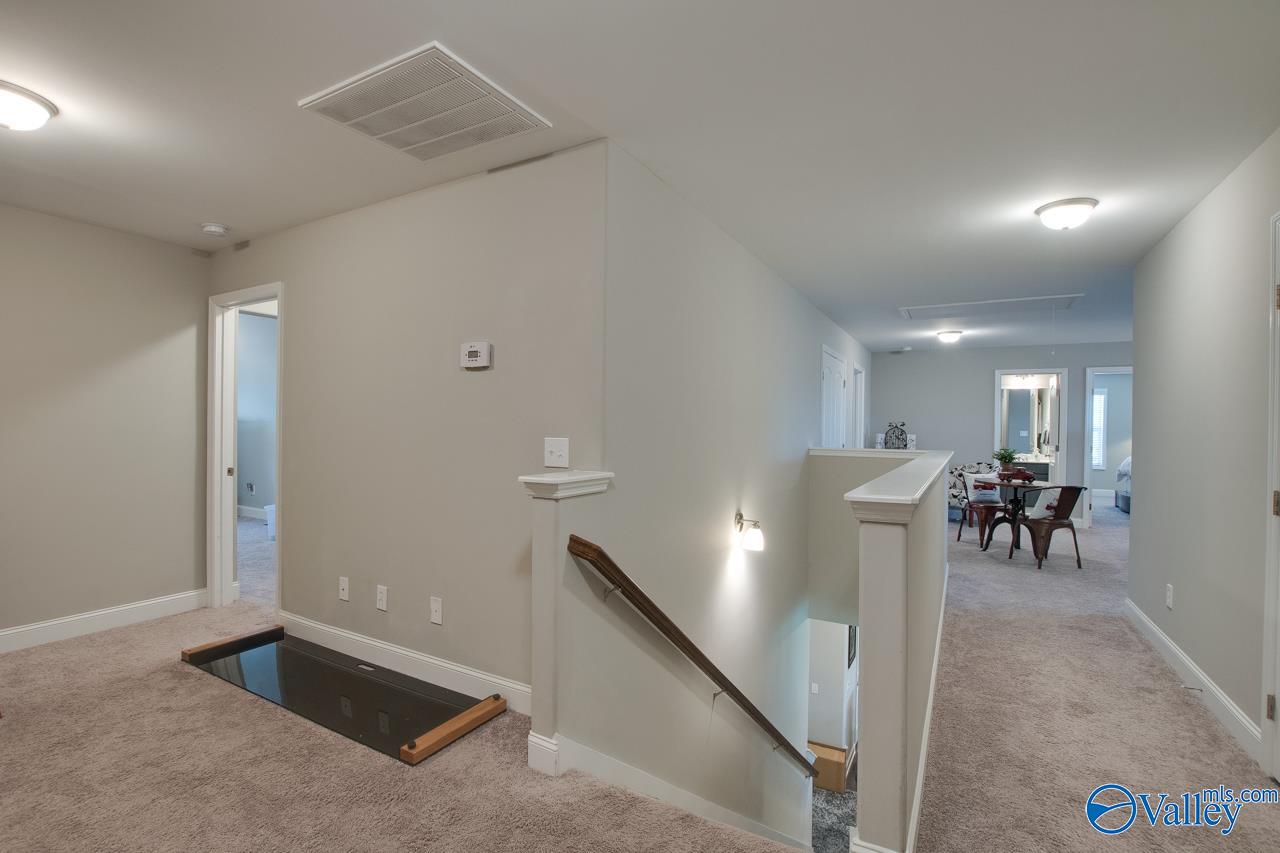 116 Cove Brook Drive, Meridianville, Alabama image 39