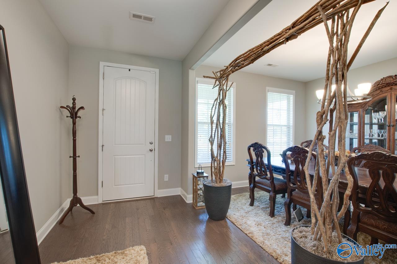 116 Cove Brook Drive, Meridianville, Alabama image 46