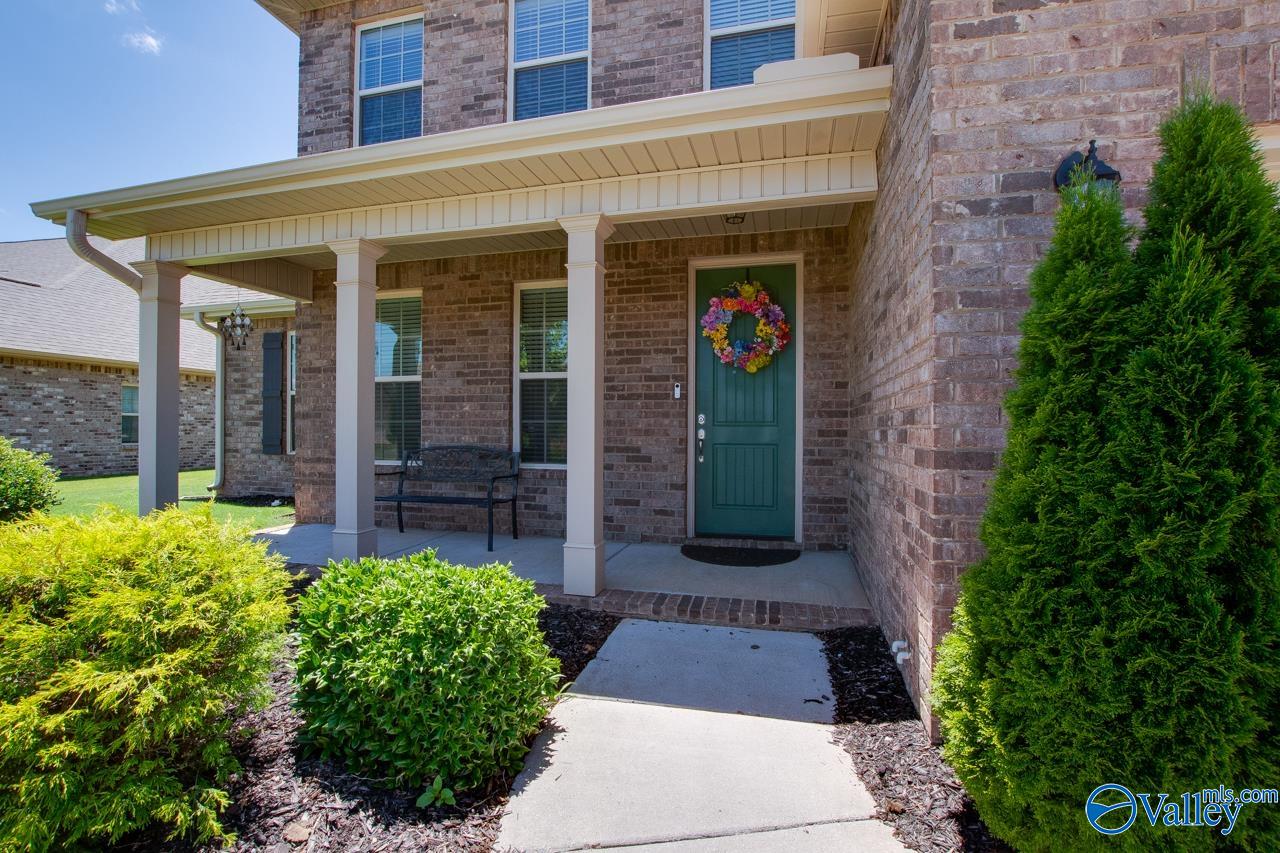 116 Cove Brook Drive, Meridianville, Alabama image 4