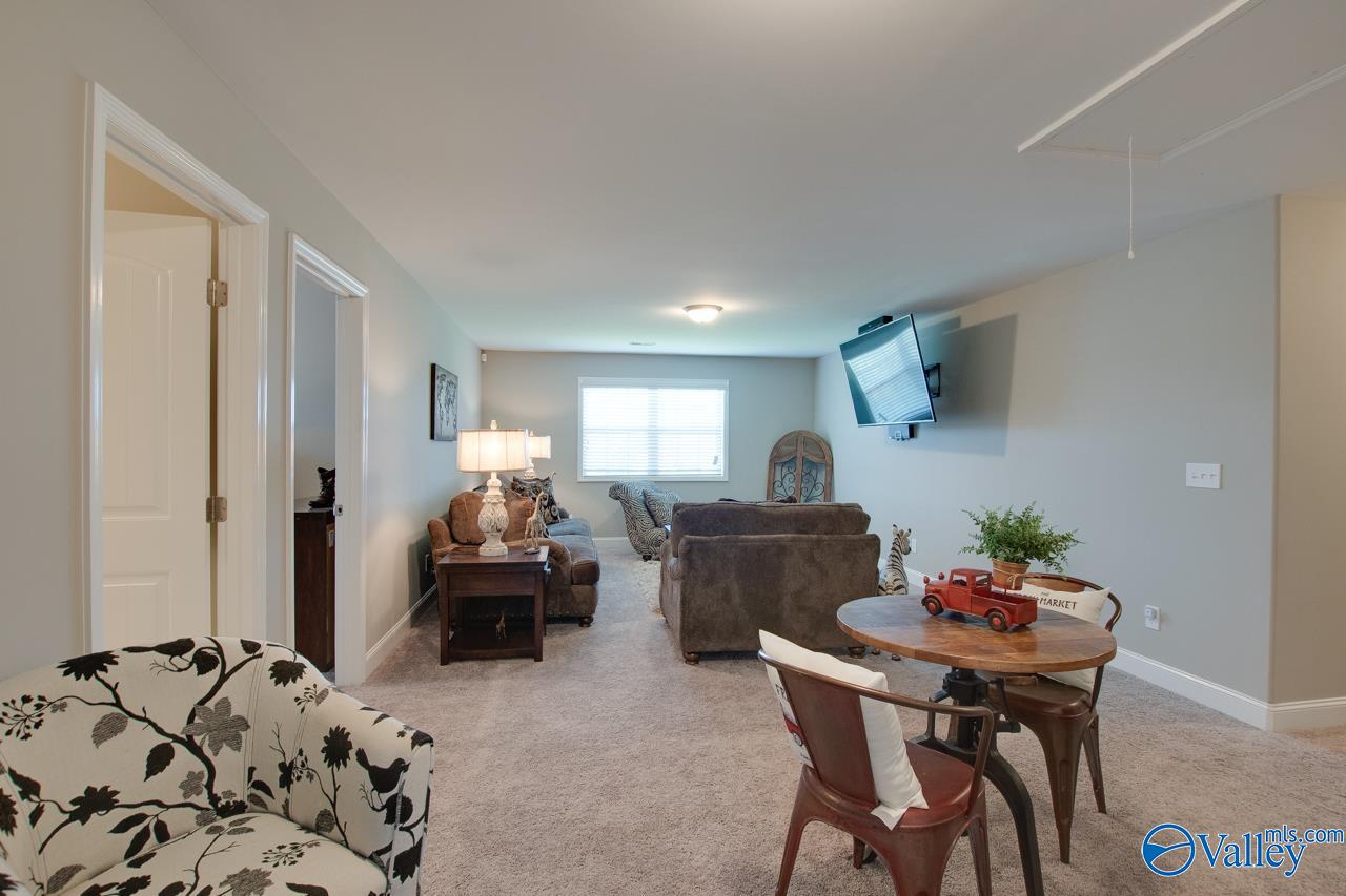 116 Cove Brook Drive, Meridianville, Alabama image 30