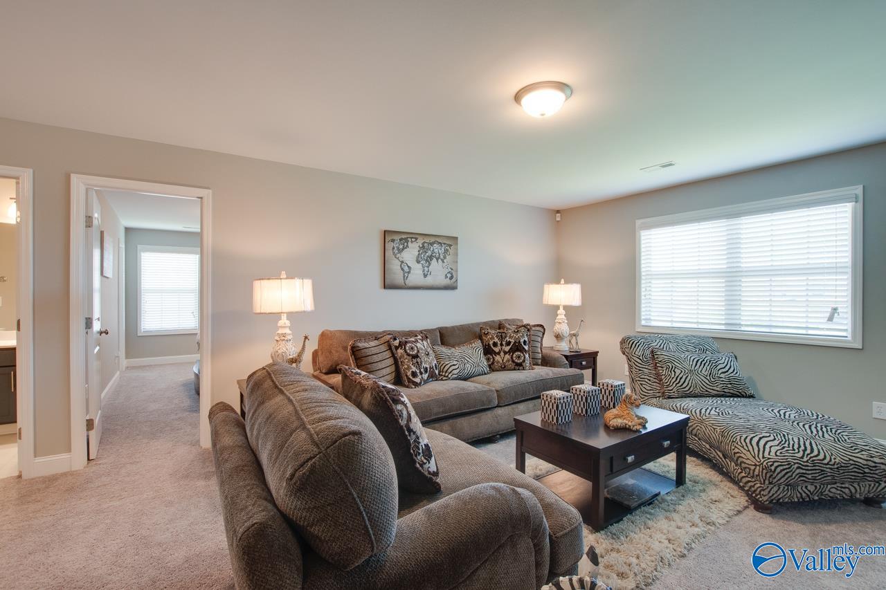 116 Cove Brook Drive, Meridianville, Alabama image 32