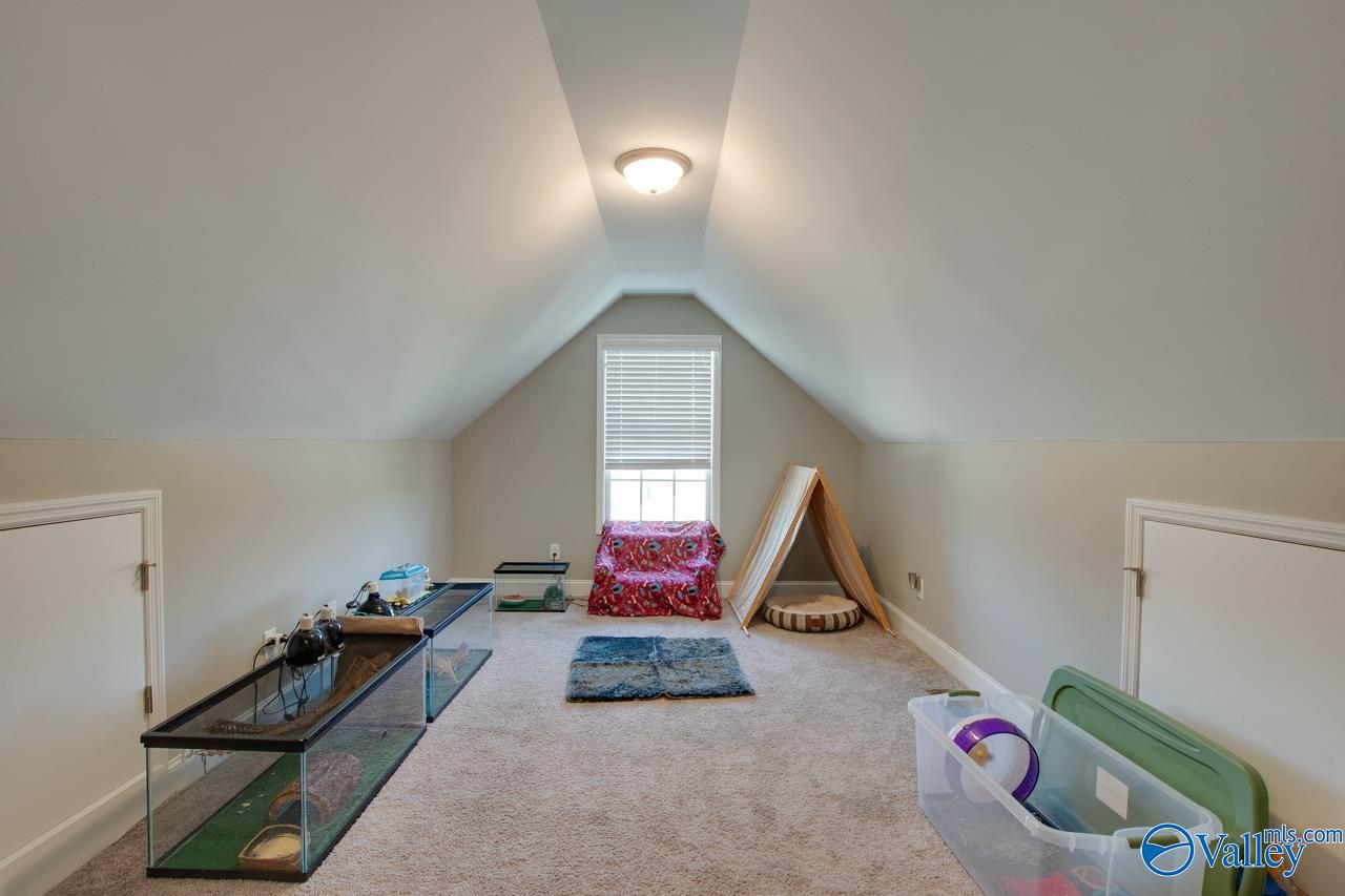 116 Cove Brook Drive, Meridianville, Alabama image 45