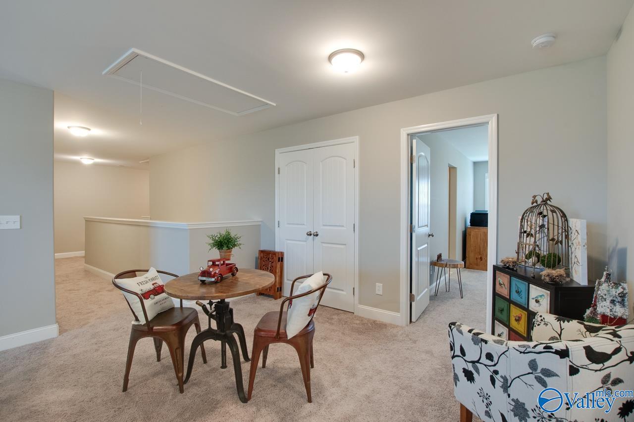 116 Cove Brook Drive, Meridianville, Alabama image 38