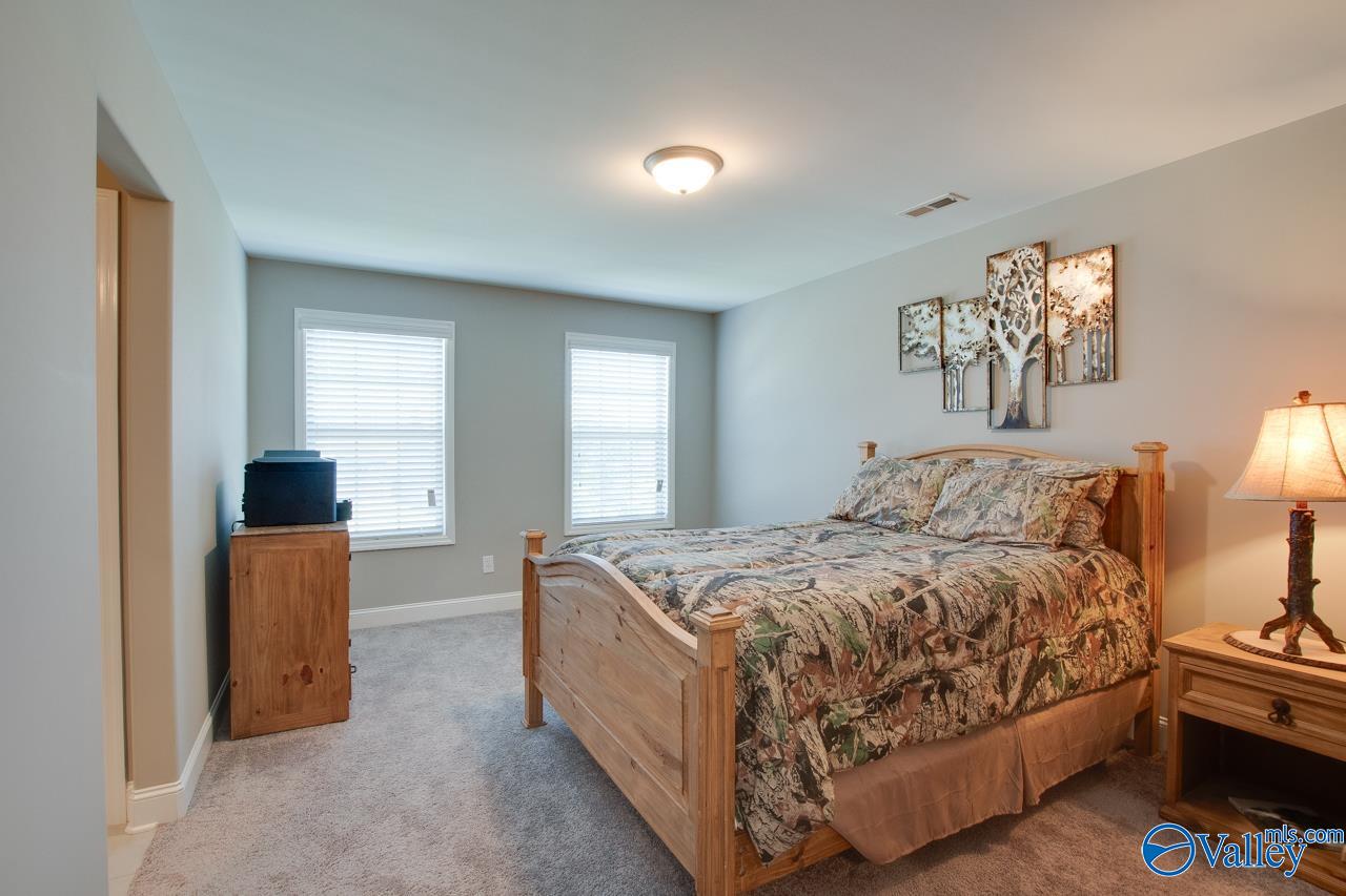116 Cove Brook Drive, Meridianville, Alabama image 35