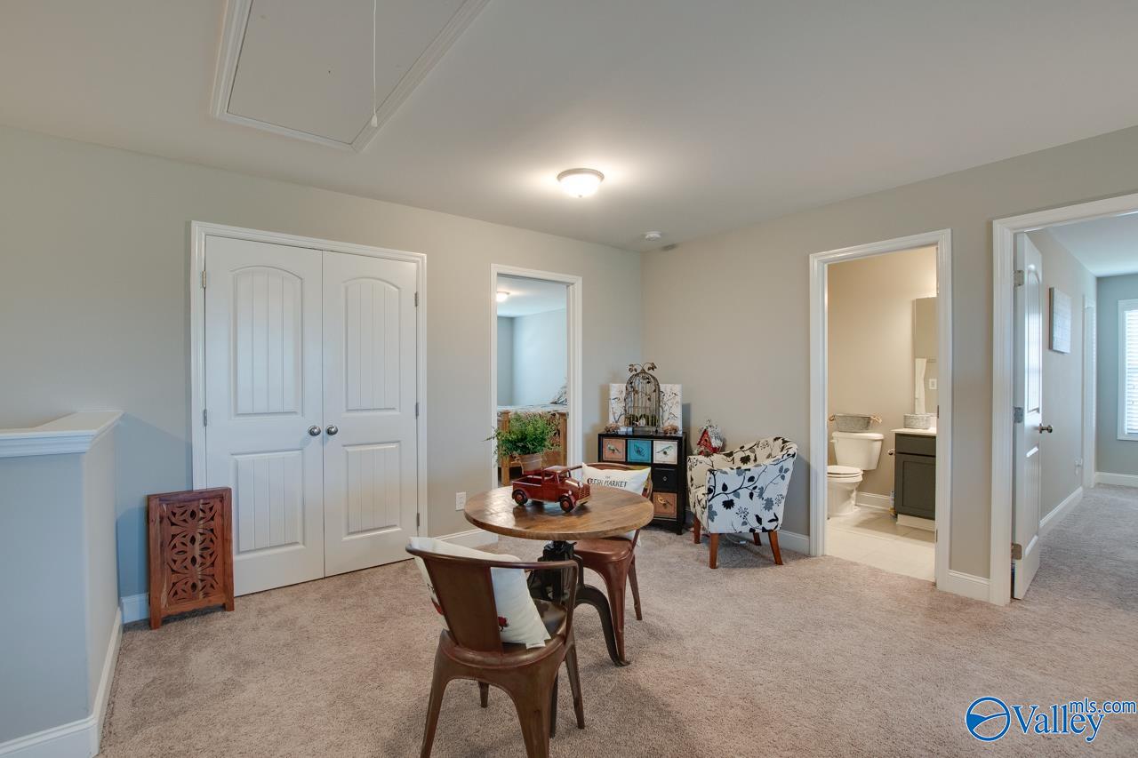 116 Cove Brook Drive, Meridianville, Alabama image 34
