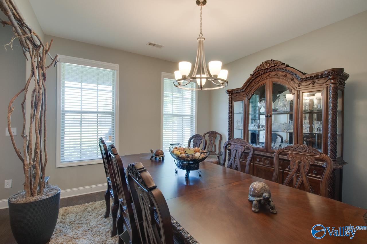 116 Cove Brook Drive, Meridianville, Alabama image 5