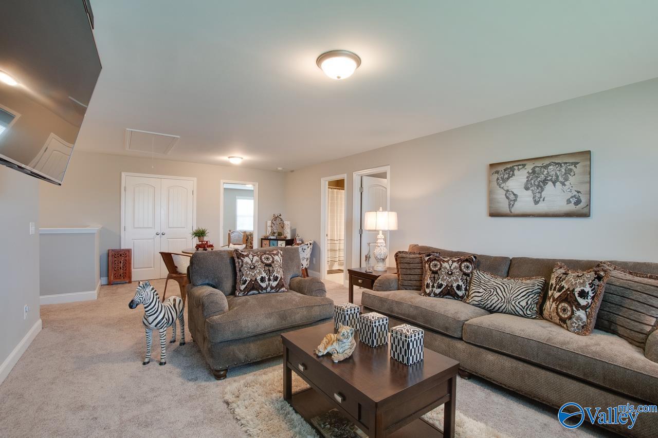 116 Cove Brook Drive, Meridianville, Alabama image 33