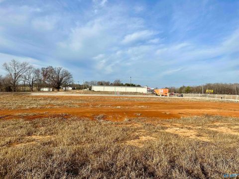 Vacant Land For Sale - 0048 Alabama Highway 24<br/> Lawrence County, Mount Hope, AL 35651