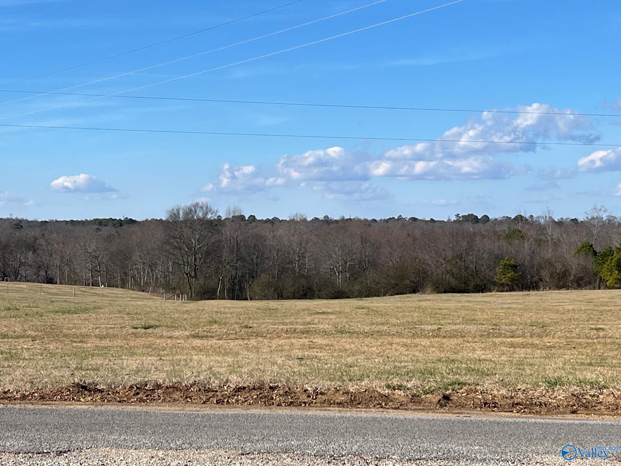 586 County Road 152, Section, Alabama image 3