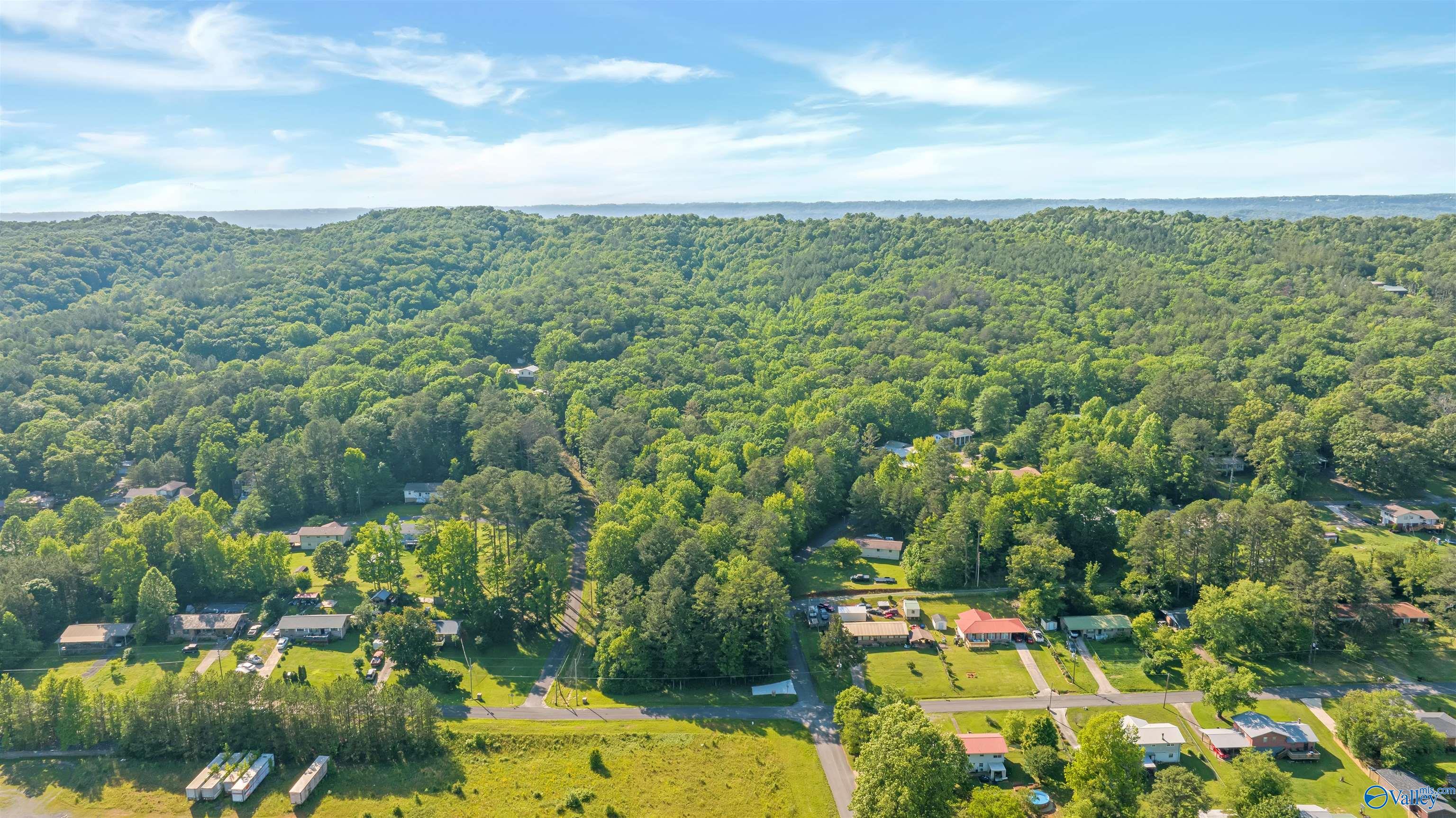 Lot 8 Grand Avenue, Fort Payne, Alabama image 24