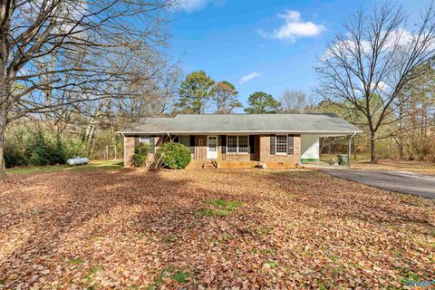 Photo of 317 Baites Road, Toney, AL 35773 (MLS # 21905544)