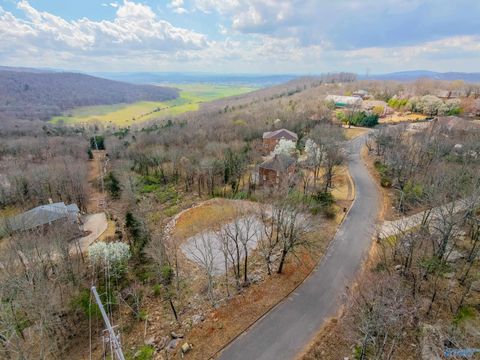 Vacant Land For Sale - 1610 Chandler Road<br/> Huntsville, AL 35801