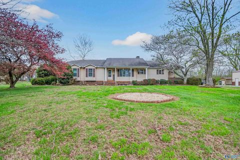 Photo of 12238 Pulaski Pike, Toney, AL 35773 (MLS # 21912074)