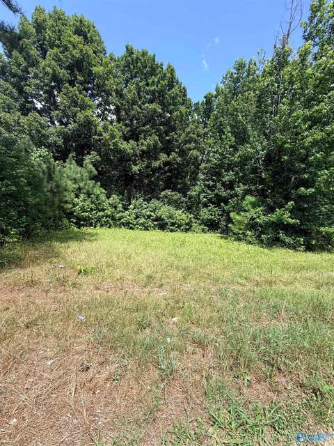 Vacant Land For Sale - 1 A County Road 4<br/> Boaz, AL 35957